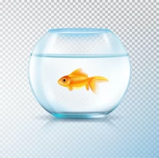Freshwater Fishes