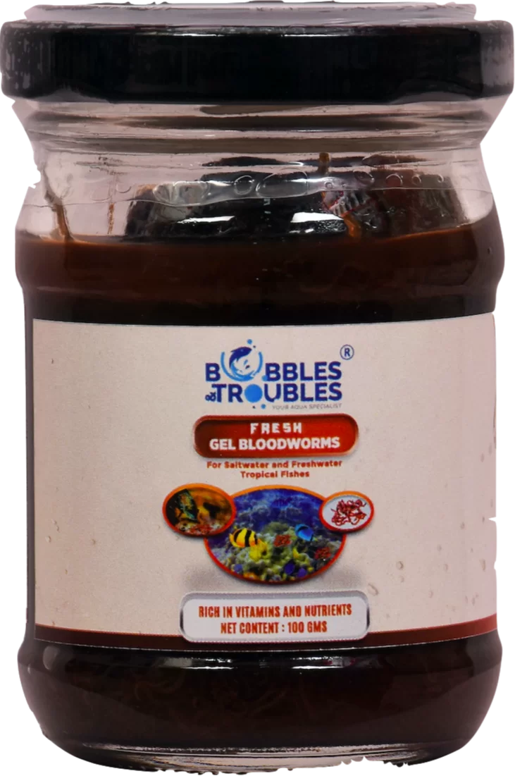 Fresh Gel Bloodworms : BUBBLES N TROUBLES