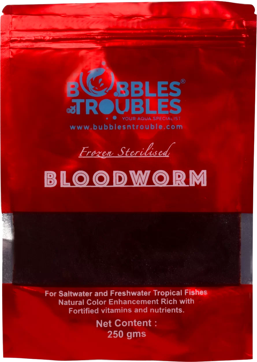 Frozen Sterlized Bloodworms : BUBBLES N TROUBLES
